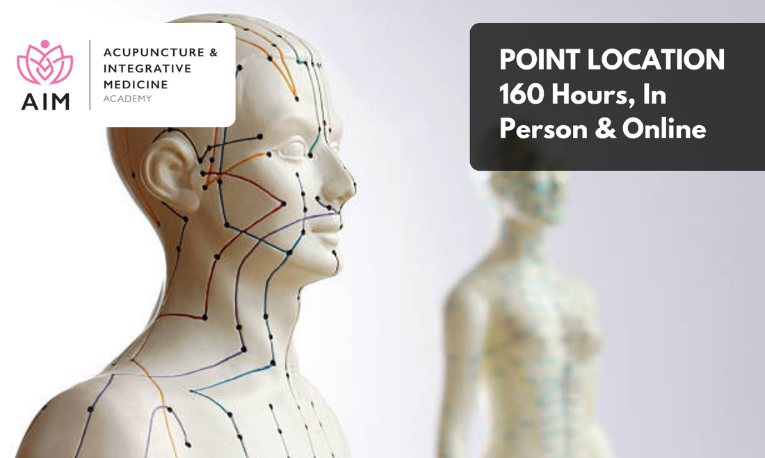 Learn Point Location at AIM Academy