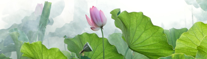 July Newsletter