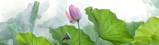July Newsletter