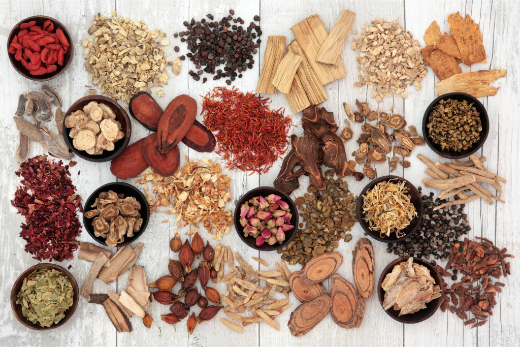 Take the First Step Towards Becoming a Traditional Japanese Herbalist!