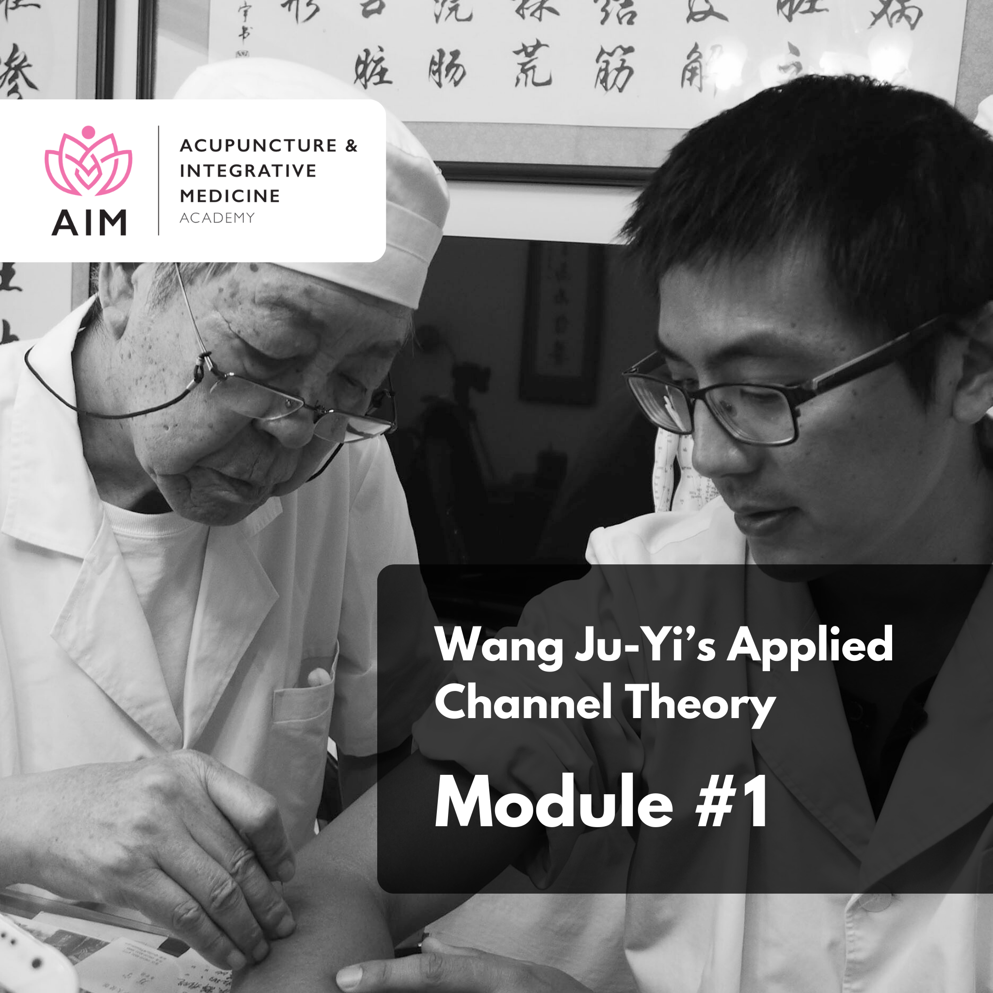 Wang Ju-yi’s Applied Channel Theory: Module 1 - Channel Diagnosis and Palpation Seminar