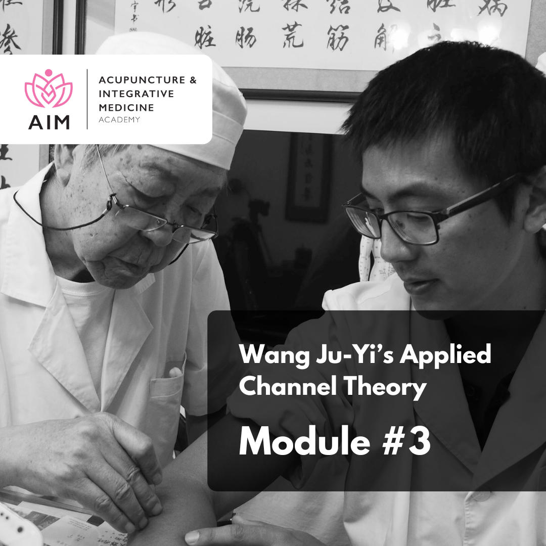 Wang Ju-yi’s Applied Channel Theory: Module 3 Diagnosis and Clinical Cases