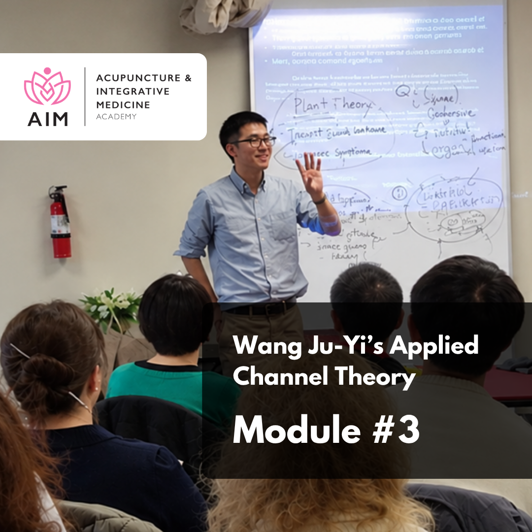 Wang Ju-yi’s Applied Channel Theory: Module 3 - Diagnosis and Clinical Cases