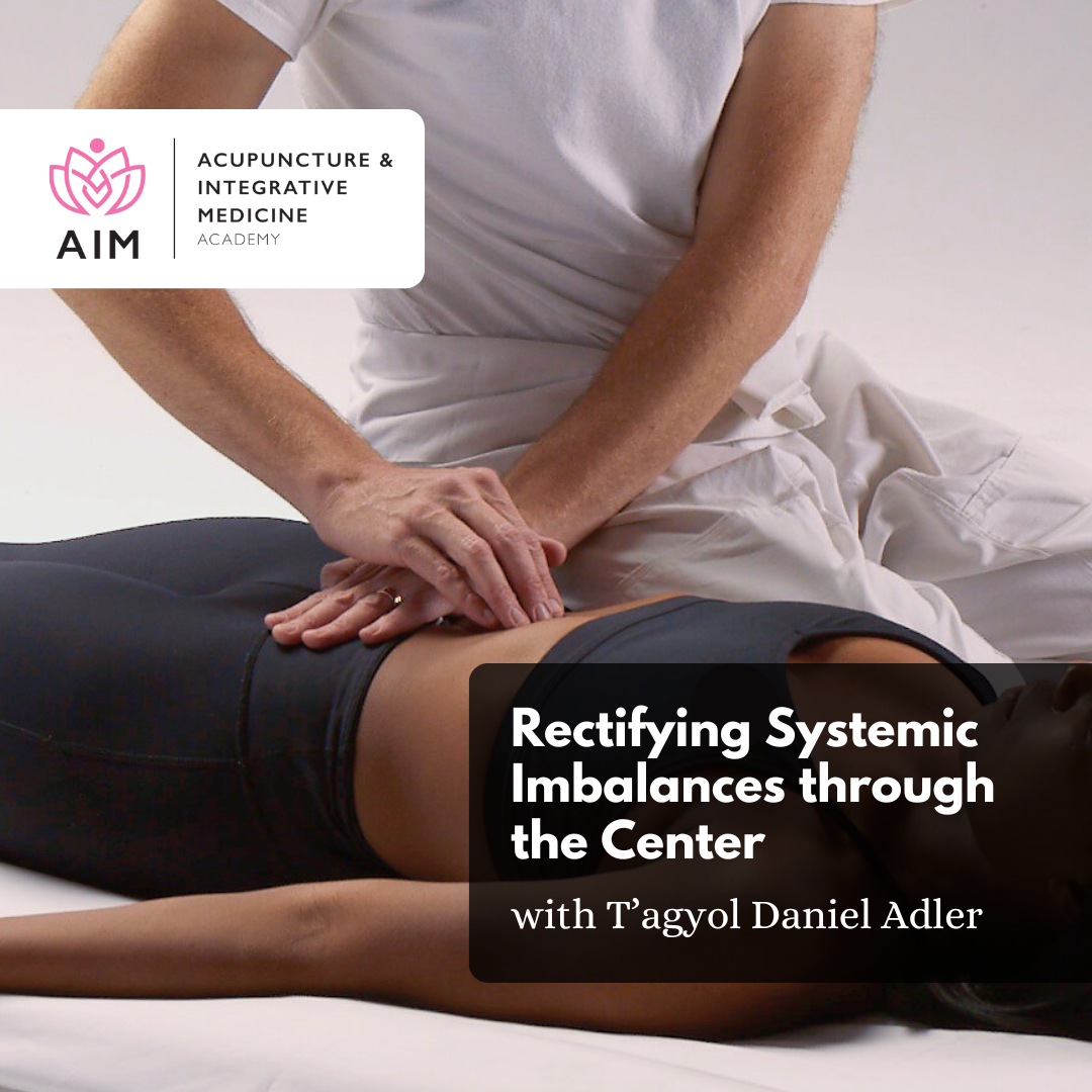 NEW WORKSHOP: Rectifying Systemic Imbalances through the Center - Abdominal Treatment Workshop with T'agyol Daniel Adler