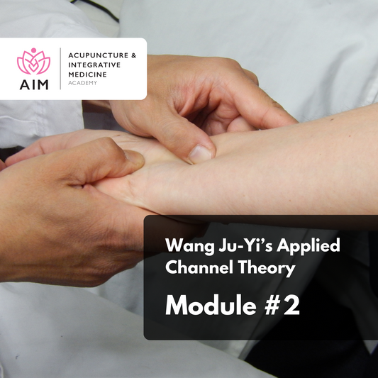 Wang Ju-yi's Applied Channel Theory: Module 2