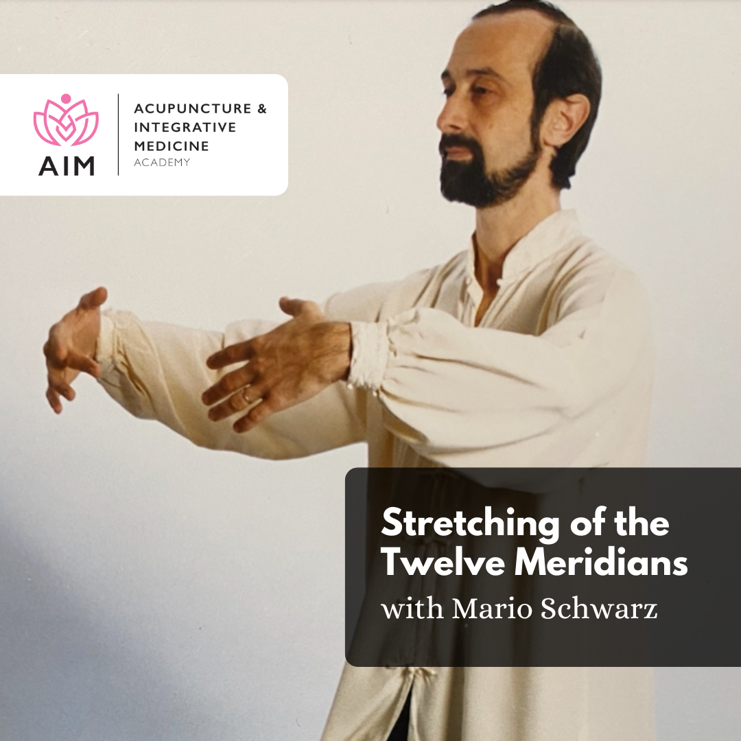 Stretching of the 12 Meridians with Mario Schwarz