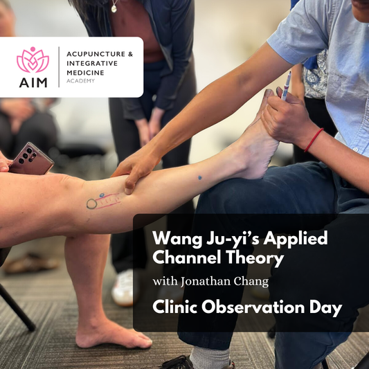 Wang Ju-yi's Applied Channel Theory with Jonathan Chang - Clinic Observation Day
