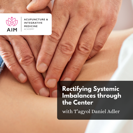 NEW WORKSHOP: Rectifying Systemic Imbalances through the Center - Abdominal Treatment Workshop with T'agyol Daniel Adler
